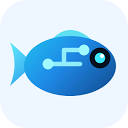 MiroFish