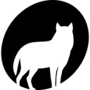 塔林黑夜电影节