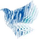 千鸽 微信引流到淘宝