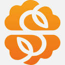 Seed – Youtube to Obsidian