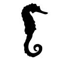 【失效】主机镇