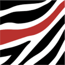 Zebra Medical Vision